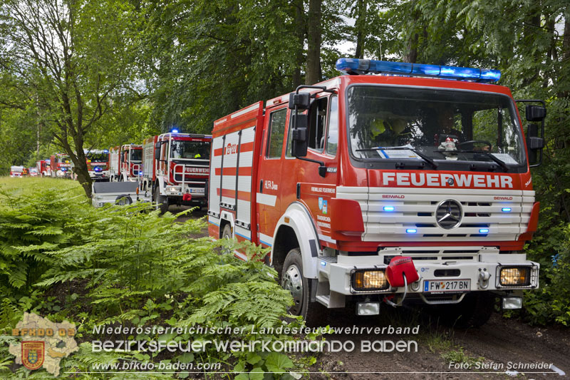 20240601 Abschnittsübung Waldbrand" 2024 in Furth-Pottenstein-Weissenbach Foto: Stefan Schneider S5/BFKDO Baden