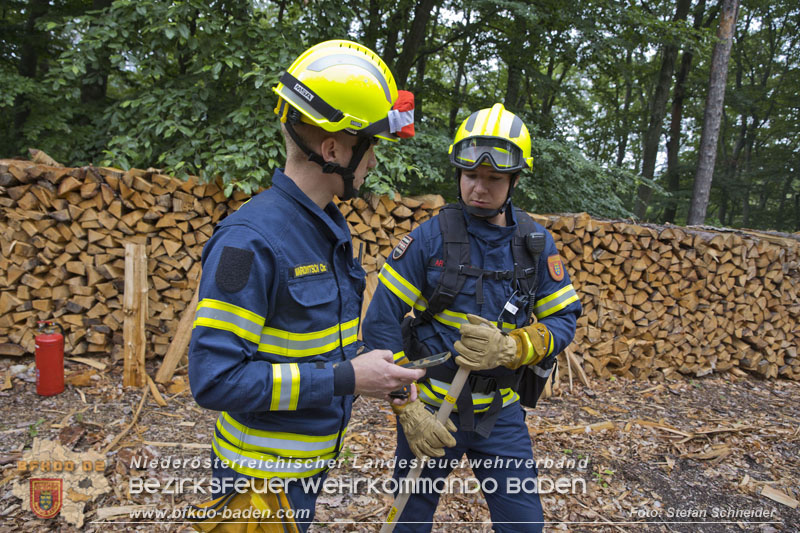 20240601 Abschnittsübung Waldbrand" 2024 in Furth-Pottenstein-Weissenbach Foto: Stefan Schneider S5/BFKDO Baden