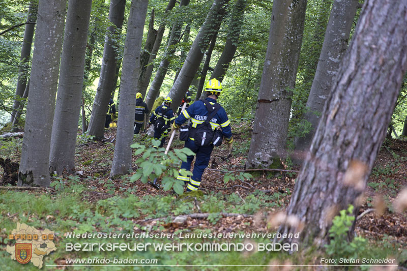 20240601 Abschnittsübung Waldbrand" 2024 in Furth-Pottenstein-Weissenbach Foto: Stefan Schneider S5/BFKDO Baden