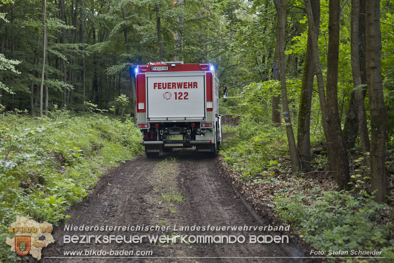 20240601 Abschnittsübung Waldbrand" 2024 in Furth-Pottenstein-Weissenbach Foto: Stefan Schneider S5/BFKDO Baden