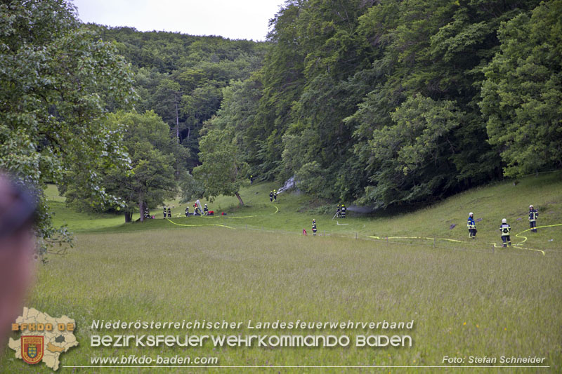 20240601 Abschnittsübung Waldbrand" 2024 in Furth-Pottenstein-Weissenbach Foto: Stefan Schneider S5/BFKDO Baden
