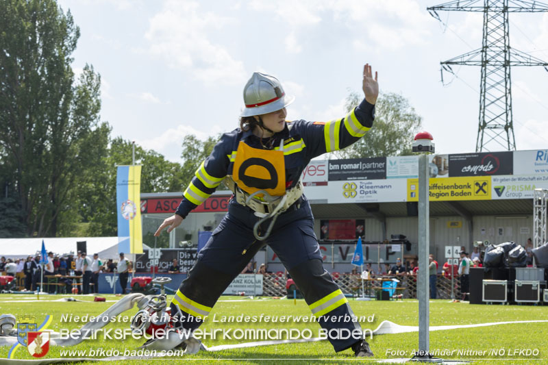 20240628_72. Nö Landesfeuerwehrleistungsbewerb in Leobersdorf - TAG 1  Foto: Alexander Nittner NÖ LFKDO