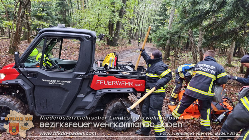 20241005_Abschnittsfeuerwehrübung in Pfaffstätten Waldgebiet Rund um die Rudolf Prokschhütte  Foto: Stefan Schneider FF Baden-Stadt