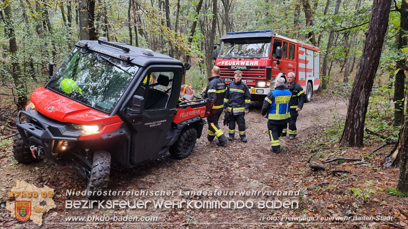 20241005_Abschnittsfeuerwehrübung in Pfaffstätten Waldgebiet Rund um die Rudolf Prokschhütte  Foto: Stefan Schneider FF Baden-Stadt