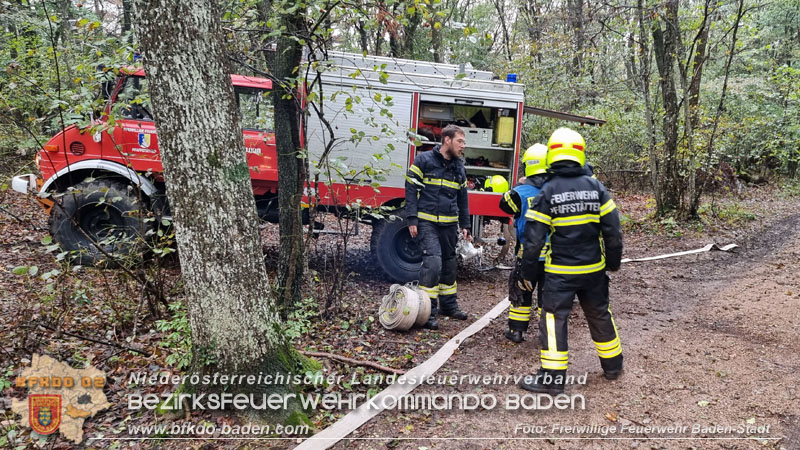 20241005_Abschnittsfeuerwehrübung in Pfaffstätten Waldgebiet Rund um die Rudolf Prokschhütte  Foto: Stefan Schneider FF Baden-Stadt
