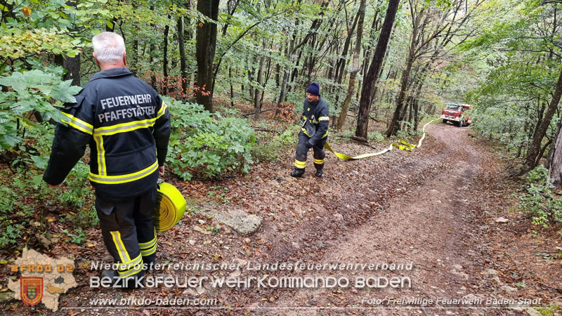 20241005_Abschnittsfeuerwehrübung in Pfaffstätten Waldgebiet Rund um die Rudolf Prokschhütte  Foto: Stefan Schneider FF Baden-Stadt