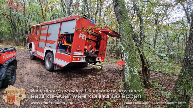 20241005_Abschnittsfeuerwehrübung in Pfaffstätten Waldgebiet Rund um die Rudolf Prokschhütte  Foto: Stefan Schneider FF Baden-Stadt