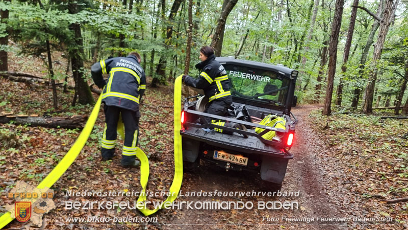20241005_Abschnittsfeuerwehrübung in Pfaffstätten Waldgebiet Rund um die Rudolf Prokschhütte  Foto: Stefan Schneider FF Baden-Stadt
