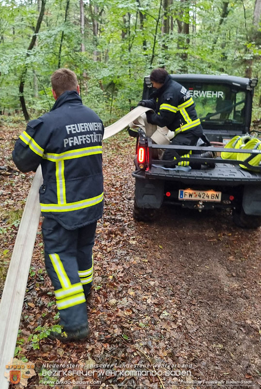 20241005_Abschnittsfeuerwehrübung in Pfaffstätten Waldgebiet Rund um die Rudolf Prokschhütte  Foto: Stefan Schneider FF Baden-Stadt