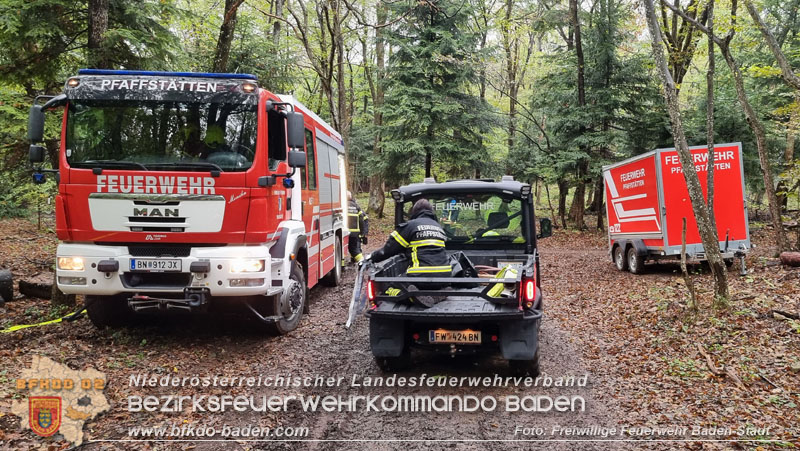 20241005_Abschnittsfeuerwehrübung in Pfaffstätten Waldgebiet Rund um die Rudolf Prokschhütte  Foto: Stefan Schneider FF Baden-Stadt