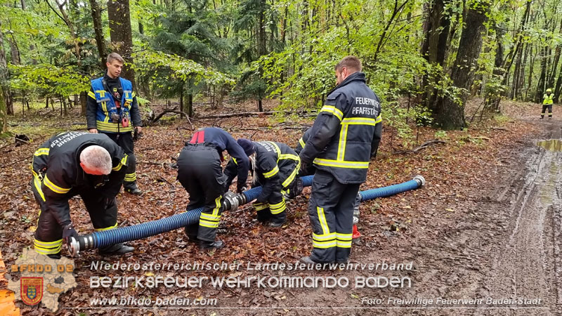 20241005_Abschnittsfeuerwehrübung in Pfaffstätten Waldgebiet Rund um die Rudolf Prokschhütte  Foto: Stefan Schneider FF Baden-Stadt