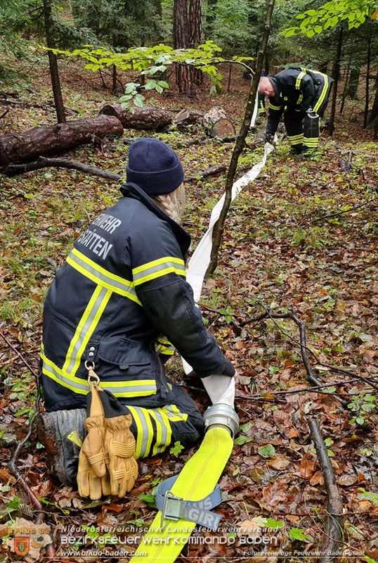 20241005_Abschnittsfeuerwehrübung in Pfaffstätten Waldgebiet Rund um die Rudolf Prokschhütte  Foto: Stefan Schneider FF Baden-Stadt