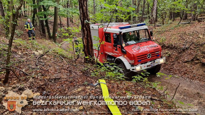 20241005_Abschnittsfeuerwehrübung in Pfaffstätten Waldgebiet Rund um die Rudolf Prokschhütte  Foto: Stefan Schneider FF Baden-Stadt