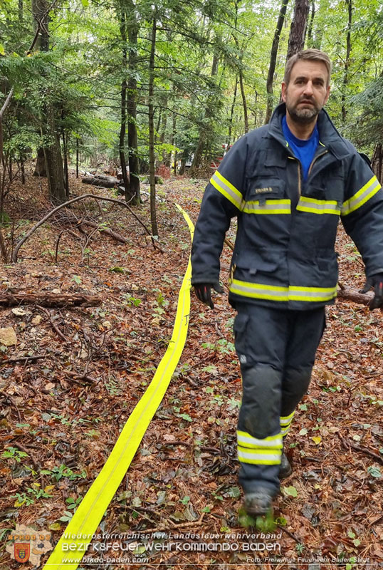 20241005_Abschnittsfeuerwehrübung in Pfaffstätten Waldgebiet Rund um die Rudolf Prokschhütte  Foto: Stefan Schneider FF Baden-Stadt