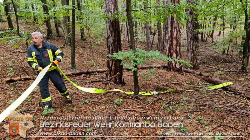 20241005_Abschnittsfeuerwehrübung in Pfaffstätten Waldgebiet Rund um die Rudolf Prokschhütte  Foto: Stefan Schneider FF Baden-Stadt
