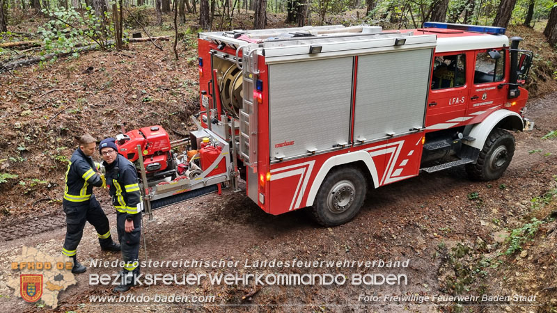 20241005_Abschnittsfeuerwehrübung in Pfaffstätten Waldgebiet Rund um die Rudolf Prokschhütte  Foto: Stefan Schneider FF Baden-Stadt