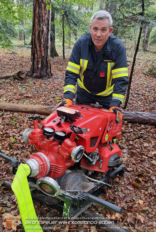 20241005_Abschnittsfeuerwehrübung in Pfaffstätten Waldgebiet Rund um die Rudolf Prokschhütte  Foto: Stefan Schneider FF Baden-Stadt