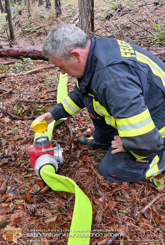 20241005_Abschnittsfeuerwehrübung in Pfaffstätten Waldgebiet Rund um die Rudolf Prokschhütte  Foto: Stefan Schneider FF Baden-Stadt