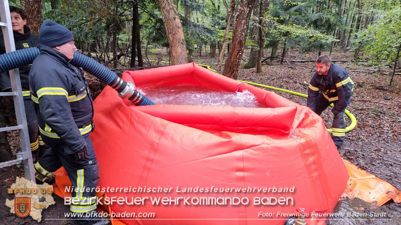 20241005_Abschnittsfeuerwehrübung in Pfaffstätten Waldgebiet Rund um die Rudolf Prokschhütte  Foto: Stefan Schneider FF Baden-Stadt