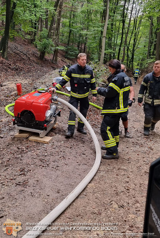 20241005_Abschnittsfeuerwehrübung in Pfaffstätten Waldgebiet Rund um die Rudolf Prokschhütte  Foto: Stefan Schneider FF Baden-Stadt