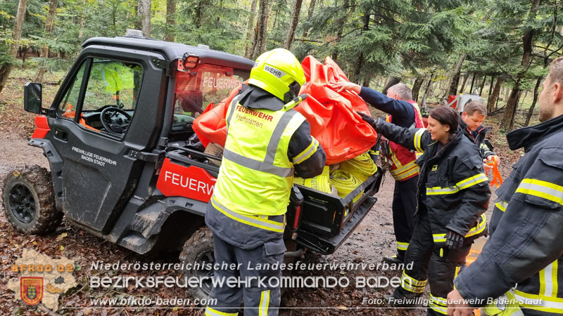 20241005_Abschnittsfeuerwehrübung in Pfaffstätten Waldgebiet Rund um die Rudolf Prokschhütte  Foto: Stefan Schneider FF Baden-Stadt