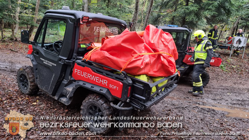 20241005_Abschnittsfeuerwehrübung in Pfaffstätten Waldgebiet Rund um die Rudolf Prokschhütte  Foto: Stefan Schneider FF Baden-Stadt