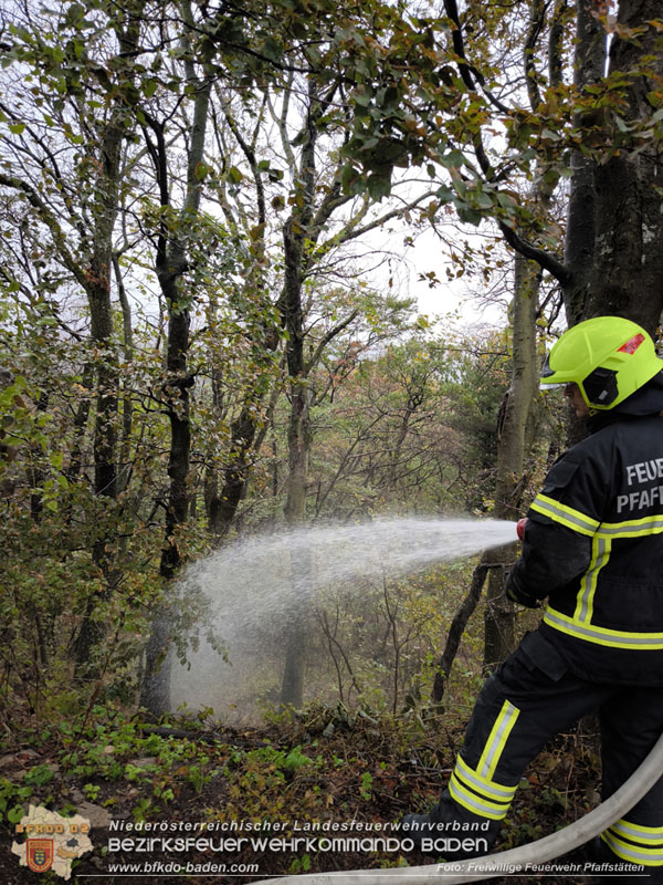20241005_Abschnittsfeuerwehrübung in Pfaffstätten Waldgebiet Rund um die Rudolf Prokschhütte  Foto: Melanie Raimann FF Pfaffstätten