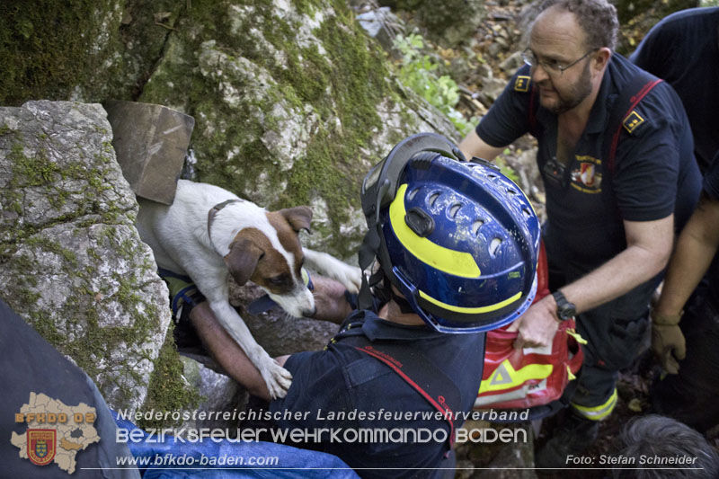 Einsatzrekord 2024 für die Feuerwehren der Stadt BADEN