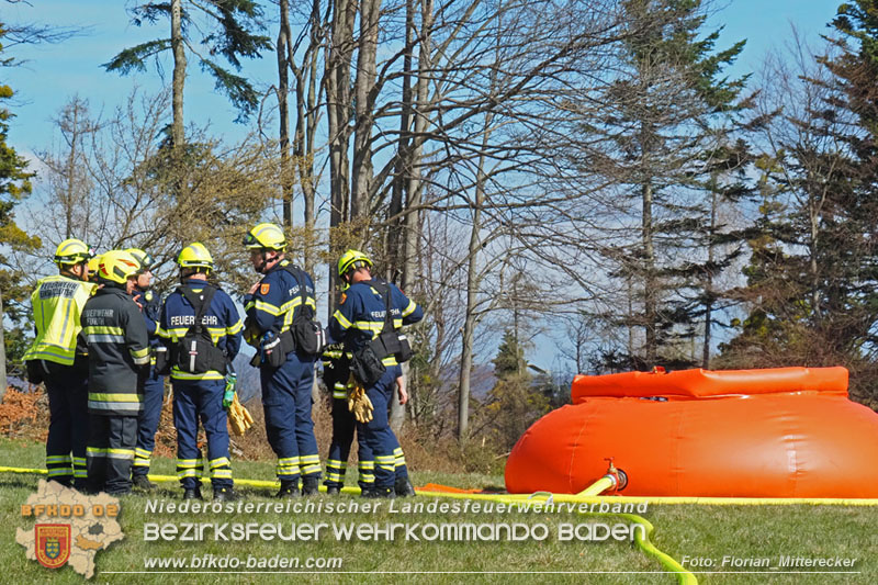 20250412_NÖ Waldbrand im Triestingtal Bzirk BADEN - Flugdienst Feuerwehr - Bundesheer und Polizei probt den Ernstfall