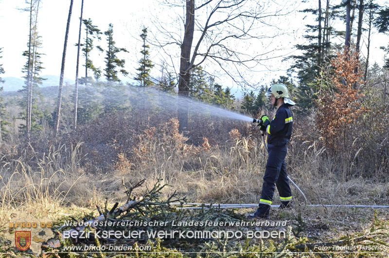 20250412_NÖ Waldbrand im Triestingtal Bzirk BADEN - Flugdienst Feuerwehr - Bundesheer und Polizei probt den Ernstfall 20250412_NÖ Waldbrand im Triestingtal Bzirk BADEN - Flugdienst Feuerwehr - Bundesheer und Polizei probt den Ernstfall