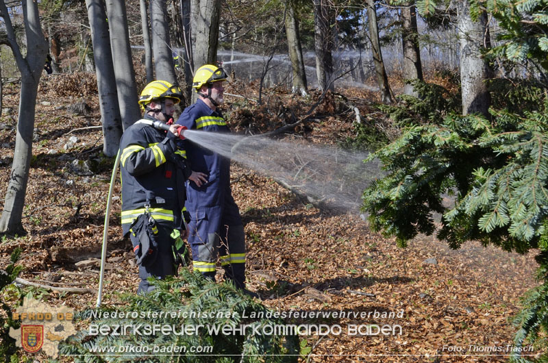 20250412_NÖ Waldbrand im Triestingtal Bzirk BADEN - Flugdienst Feuerwehr - Bundesheer und Polizei probt den Ernstfall 20250412_NÖ Waldbrand im Triestingtal Bzirk BADEN - Flugdienst Feuerwehr - Bundesheer und Polizei probt den Ernstfall