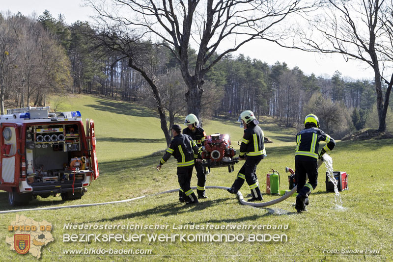 20250412_NÖ Waldbrand im Triestingtal Bzirk BADEN - Flugdienst Feuerwehr - Bundesheer und Polizei probt den Ernstfall 20250412_NÖ Waldbrand im Triestingtal Bzirk BADEN - Flugdienst Feuerwehr - Bundesheer und Polizei probt den Ernstfall