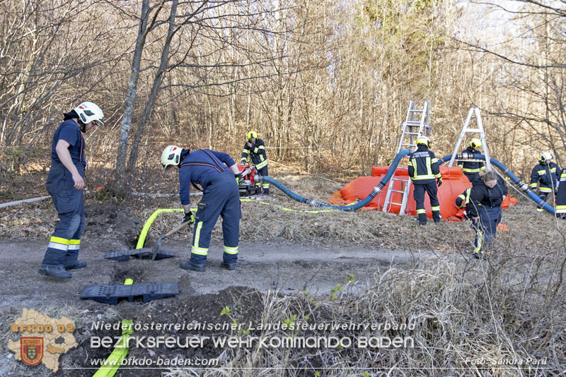20250412_NÖ Waldbrand im Triestingtal Bzirk BADEN - Flugdienst Feuerwehr - Bundesheer und Polizei probt den Ernstfall 20250412_NÖ Waldbrand im Triestingtal Bzirk BADEN - Flugdienst Feuerwehr - Bundesheer und Polizei probt den Ernstfall