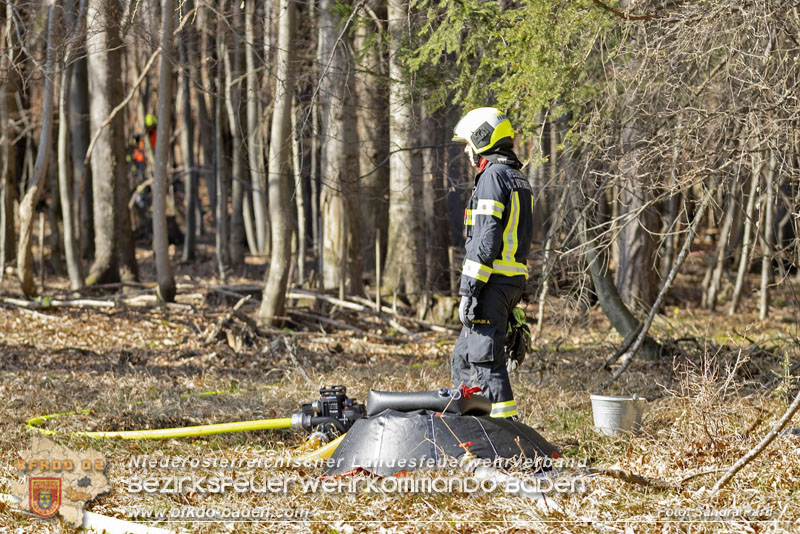 20250412_NÖ Waldbrand im Triestingtal Bzirk BADEN - Flugdienst Feuerwehr - Bundesheer und Polizei probt den Ernstfall 20250412_NÖ Waldbrand im Triestingtal Bzirk BADEN - Flugdienst Feuerwehr - Bundesheer und Polizei probt den Ernstfall