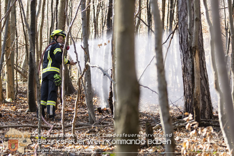 20250412_NÖ Waldbrand im Triestingtal Bzirk BADEN - Flugdienst Feuerwehr - Bundesheer und Polizei probt den Ernstfall 20250412_NÖ Waldbrand im Triestingtal Bzirk BADEN - Flugdienst Feuerwehr - Bundesheer und Polizei probt den Ernstfall
