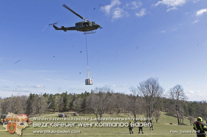 20250412_NÖ Waldbrand im Triestingtal Bzirk BADEN - Flugdienst Feuerwehr - Bundesheer und Polizei probt den Ernstfall 20250412_NÖ Waldbrand im Triestingtal Bzirk BADEN - Flugdienst Feuerwehr - Bundesheer und Polizei probt den Ernstfall