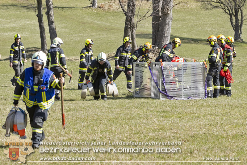20250412_NÖ Waldbrand im Triestingtal Bzirk BADEN - Flugdienst Feuerwehr - Bundesheer und Polizei probt den Ernstfall 20250412_NÖ Waldbrand im Triestingtal Bzirk BADEN - Flugdienst Feuerwehr - Bundesheer und Polizei probt den Ernstfall