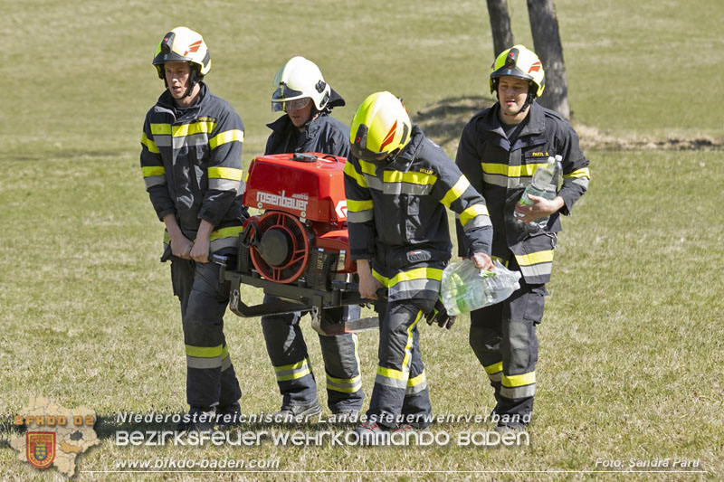 20250412_NÖ Waldbrand im Triestingtal Bzirk BADEN - Flugdienst Feuerwehr - Bundesheer und Polizei probt den Ernstfall 20250412_NÖ Waldbrand im Triestingtal Bzirk BADEN - Flugdienst Feuerwehr - Bundesheer und Polizei probt den Ernstfall