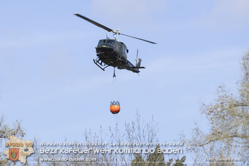 20250412_NÖ Waldbrand im Triestingtal Bzirk BADEN - Flugdienst Feuerwehr - Bundesheer und Polizei probt den Ernstfall 20250412_NÖ Waldbrand im Triestingtal Bzirk BADEN - Flugdienst Feuerwehr - Bundesheer und Polizei probt den Ernstfall