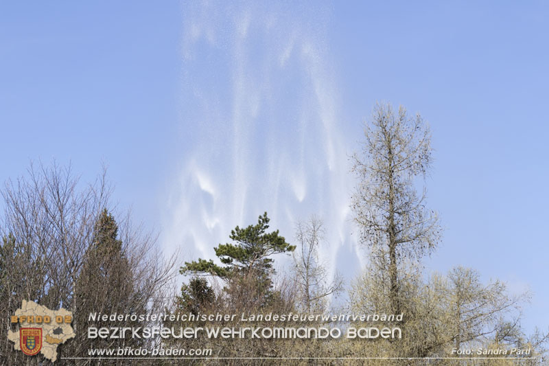 20250412_NÖ Waldbrand im Triestingtal Bzirk BADEN - Flugdienst Feuerwehr - Bundesheer und Polizei probt den Ernstfall 20250412_NÖ Waldbrand im Triestingtal Bzirk BADEN - Flugdienst Feuerwehr - Bundesheer und Polizei probt den Ernstfall
