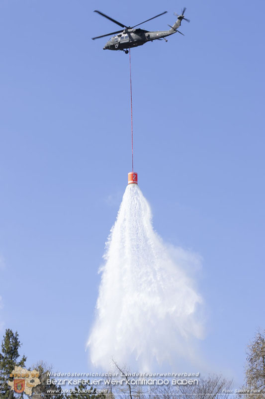 20250412_NÖ Waldbrand im Triestingtal Bzirk BADEN - Flugdienst Feuerwehr - Bundesheer und Polizei probt den Ernstfall 20250412_NÖ Waldbrand im Triestingtal Bzirk BADEN - Flugdienst Feuerwehr - Bundesheer und Polizei probt den Ernstfall