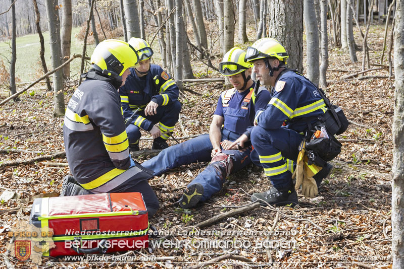 20250412_NÖ Waldbrand im Triestingtal Bzirk BADEN - Flugdienst Feuerwehr - Bundesheer und Polizei probt den Ernstfall 20250412_NÖ Waldbrand im Triestingtal Bzirk BADEN - Flugdienst Feuerwehr - Bundesheer und Polizei probt den Ernstfall