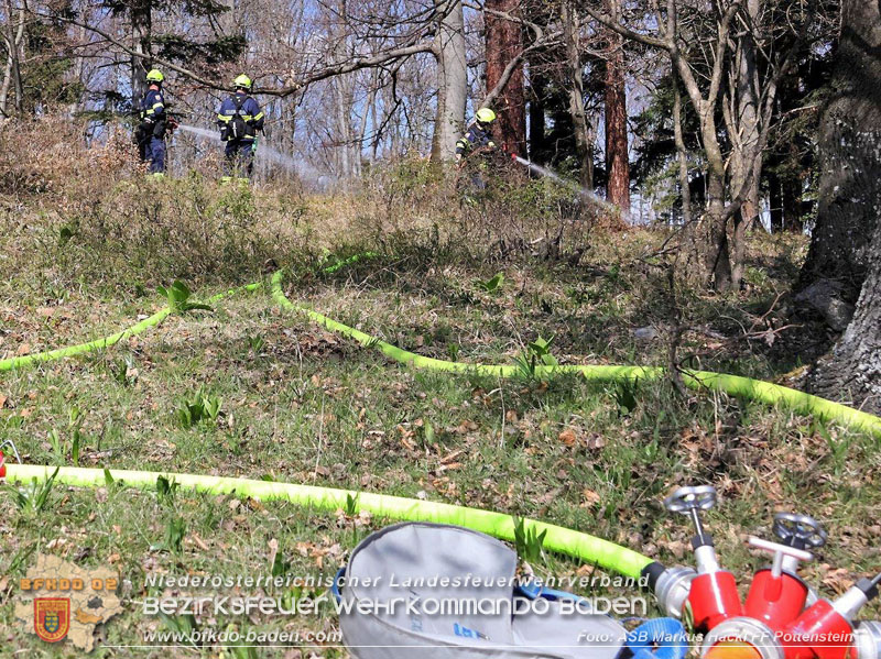 20250412_NÖ Waldbrand im Triestingtal Bzirk BADEN - Flugdienst Feuerwehr - Bundesheer und Polizei probt den Ernstfall 20250412_NÖ Waldbrand im Triestingtal Bzirk BADEN - Flugdienst Feuerwehr - Bundesheer und Polizei probt den Ernstfall