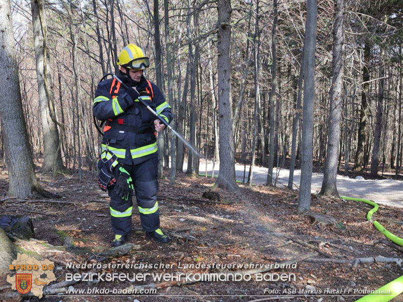 20250412_NÖ Waldbrand im Triestingtal Bzirk BADEN - Flugdienst Feuerwehr - Bundesheer und Polizei probt den Ernstfall 20250412_NÖ Waldbrand im Triestingtal Bzirk BADEN - Flugdienst Feuerwehr - Bundesheer und Polizei probt den Ernstfall