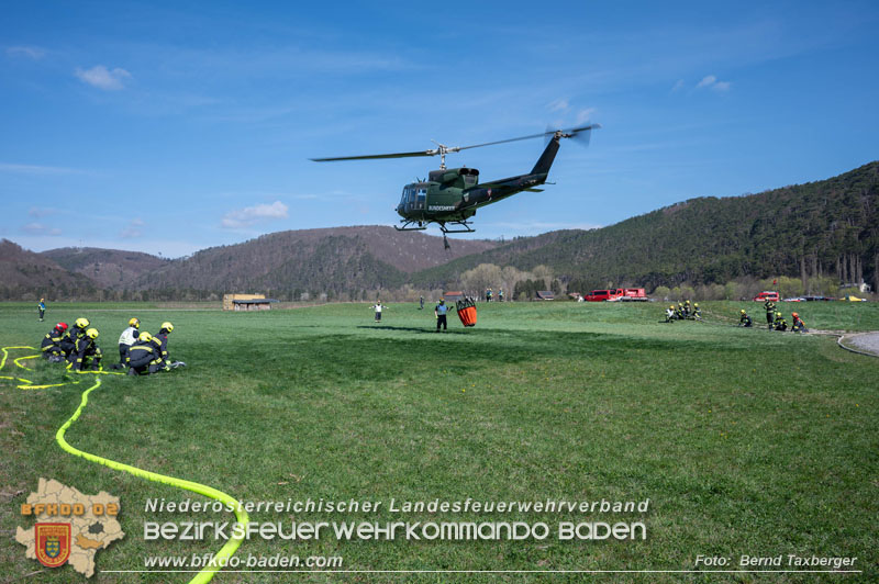 20250412_NÖ Waldbrand im Triestingtal Bzirk BADEN - Flugdienst Feuerwehr - Bundesheer und Polizei probt den Ernstfall 20250412_NÖ Waldbrand im Triestingtal Bzirk BADEN - Flugdienst Feuerwehr - Bundesheer und Polizei probt den Ernstfall 20250412_NÖ Waldbrand im Triestingtal Bzirk BADEN - Flugdienst Feuerwehr - Bundesheer und Polizei probt den Ernstfall 20250412_NÖ Waldbrand im Triestingtal Bzirk BADEN - Flugdienst Feuerwehr - Bundesheer und Polizei probt den Ernstfall