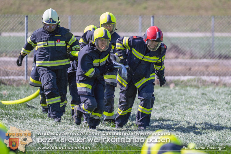 20250412_NÖ Waldbrand im Triestingtal Bzirk BADEN - Flugdienst Feuerwehr - Bundesheer und Polizei probt den Ernstfall 20250412_NÖ Waldbrand im Triestingtal Bzirk BADEN - Flugdienst Feuerwehr - Bundesheer und Polizei probt den Ernstfall 20250412_NÖ Waldbrand im Triestingtal Bzirk BADEN - Flugdienst Feuerwehr - Bundesheer und Polizei probt den Ernstfall 20250412_NÖ Waldbrand im Triestingtal Bzirk BADEN - Flugdienst Feuerwehr - Bundesheer und Polizei probt den Ernstfall