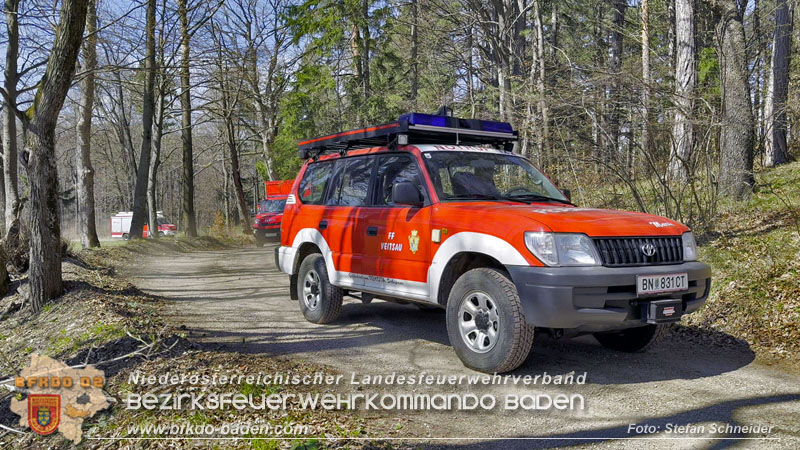 20250412_NÖ Waldbrand im Triestingtal Bzirk BADEN - Flugdienst Feuerwehr - Bundesheer und Polizei probt den Ernstfall 20250412_NÖ Waldbrand im Triestingtal Bzirk BADEN - Flugdienst Feuerwehr - Bundesheer und Polizei probt den Ernstfall