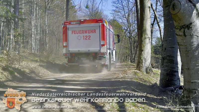 20250412_NÖ Waldbrand im Triestingtal Bzirk BADEN - Flugdienst Feuerwehr - Bundesheer und Polizei probt den Ernstfall 20250412_NÖ Waldbrand im Triestingtal Bzirk BADEN - Flugdienst Feuerwehr - Bundesheer und Polizei probt den Ernstfall