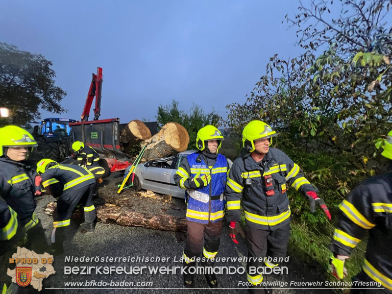 20250926_Bezirksübergreifende Übung "Menschenrettung" in Sollenau Foto: Markus Vogt FF Schönau a.d.Triesting 20250926_Bezirksübergreifende Übung "Menschenrettung" in Sollenau Foto: Markus Vogt FF Schönau a.d.Triesting
