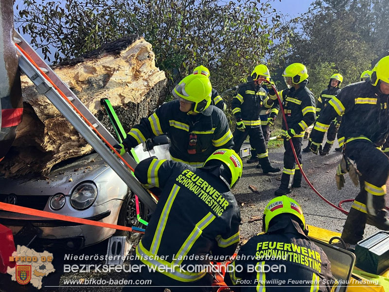 20250926_Bezirksübergreifende Übung "Menschenrettung" in Sollenau Foto: Markus Vogt FF Schönau a.d.Triesting 20250926_Bezirksübergreifende Übung "Menschenrettung" in Sollenau Foto: Markus Vogt FF Schönau a.d.Triesting